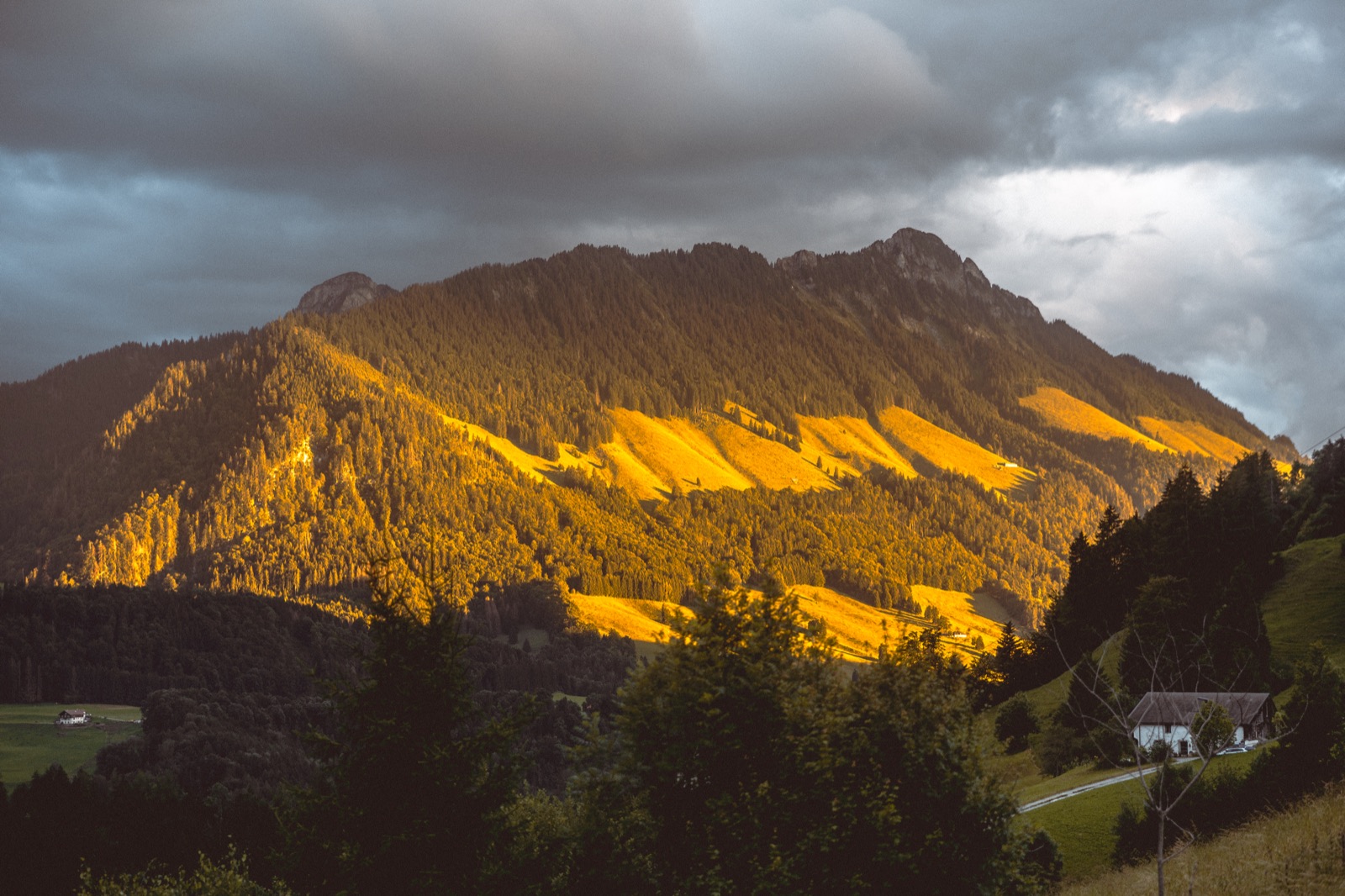 The last sun of the day breaking through storm cloud to gild the forested pre-Alps above the valley, a lone farmhouse on the slope below.